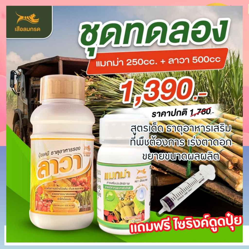 🔥แถมฟรี ไซริงค์ดูดปุ๋ย🔥ปุ๋ยน้ำแมกม่า-ลาวา สูตรเด็ด ต้นแข็งแรง เร่งตาดอก ฟื้นฟูเพิ่มปริมาณ ของแท้100%
