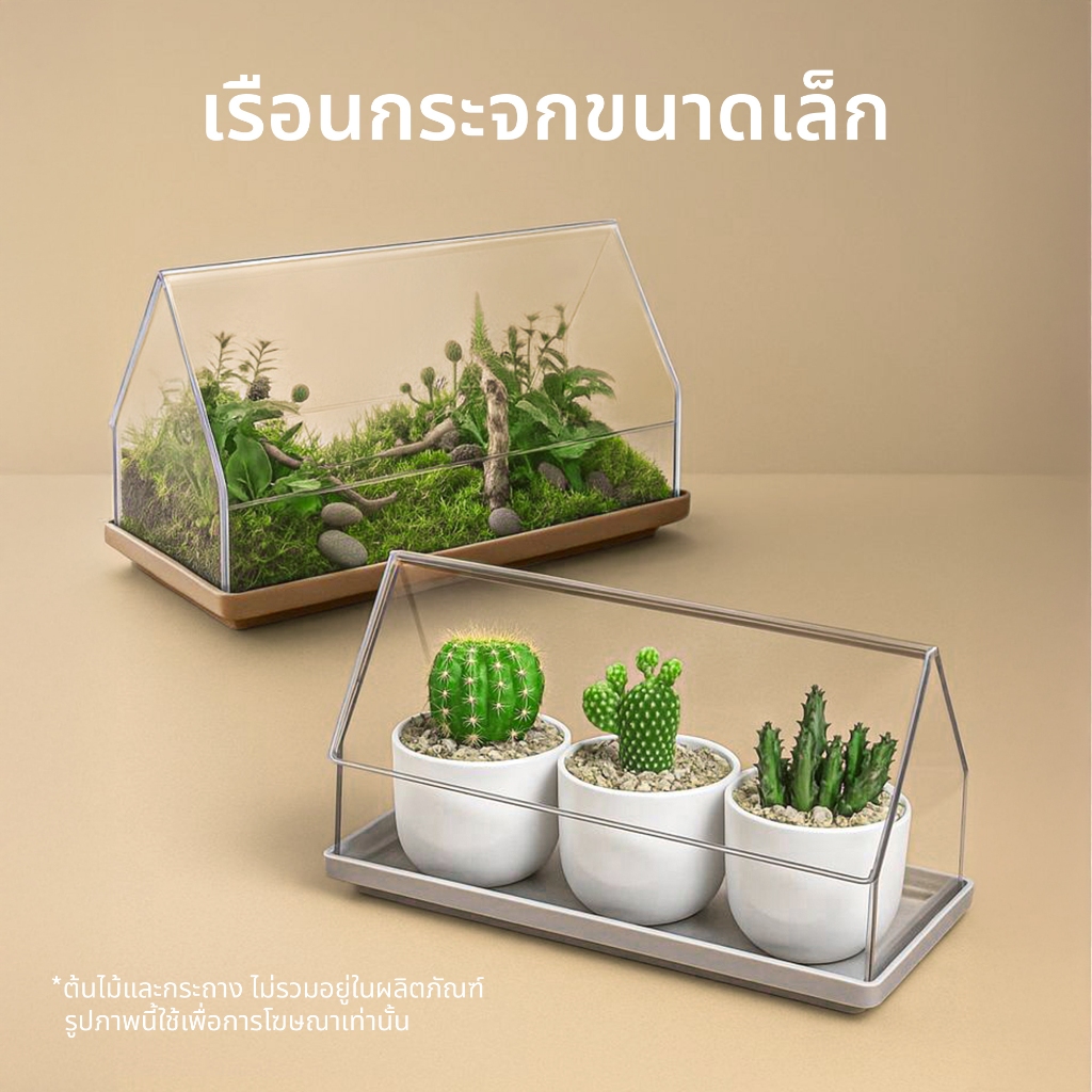 Micro Greenhouse - Plant Tray เรือนกระจกสำหรับปลูกต้นไม้ขนาดเล็ก (ไม่มีกระถางด้านใน) Qualy (ควอลี่)