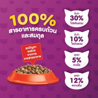 WHISKAS วิสกัส อาหารเม็ดแมวสูตรบำรุงผิวหนังและเส้นขน สำหรับแมวโต 1.1 กก.