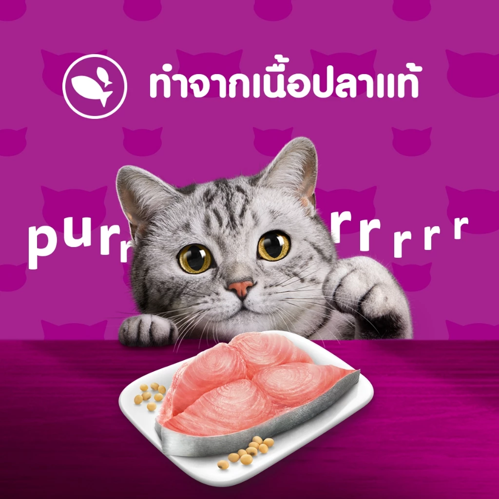 วิสกัส อาหารเปียกแมวโตและลูกแมว แพ็ค 12 ซอง 80 ก. thumbnail 6