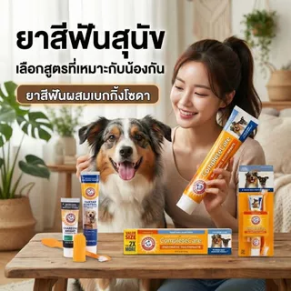 [แบรนด์แท้ USA🇺🇸] Arm and Hammer ยาสีฟันสุนัข กลิ่นปากเหม็นหาย หมาปากเหม็น มีหินปูน