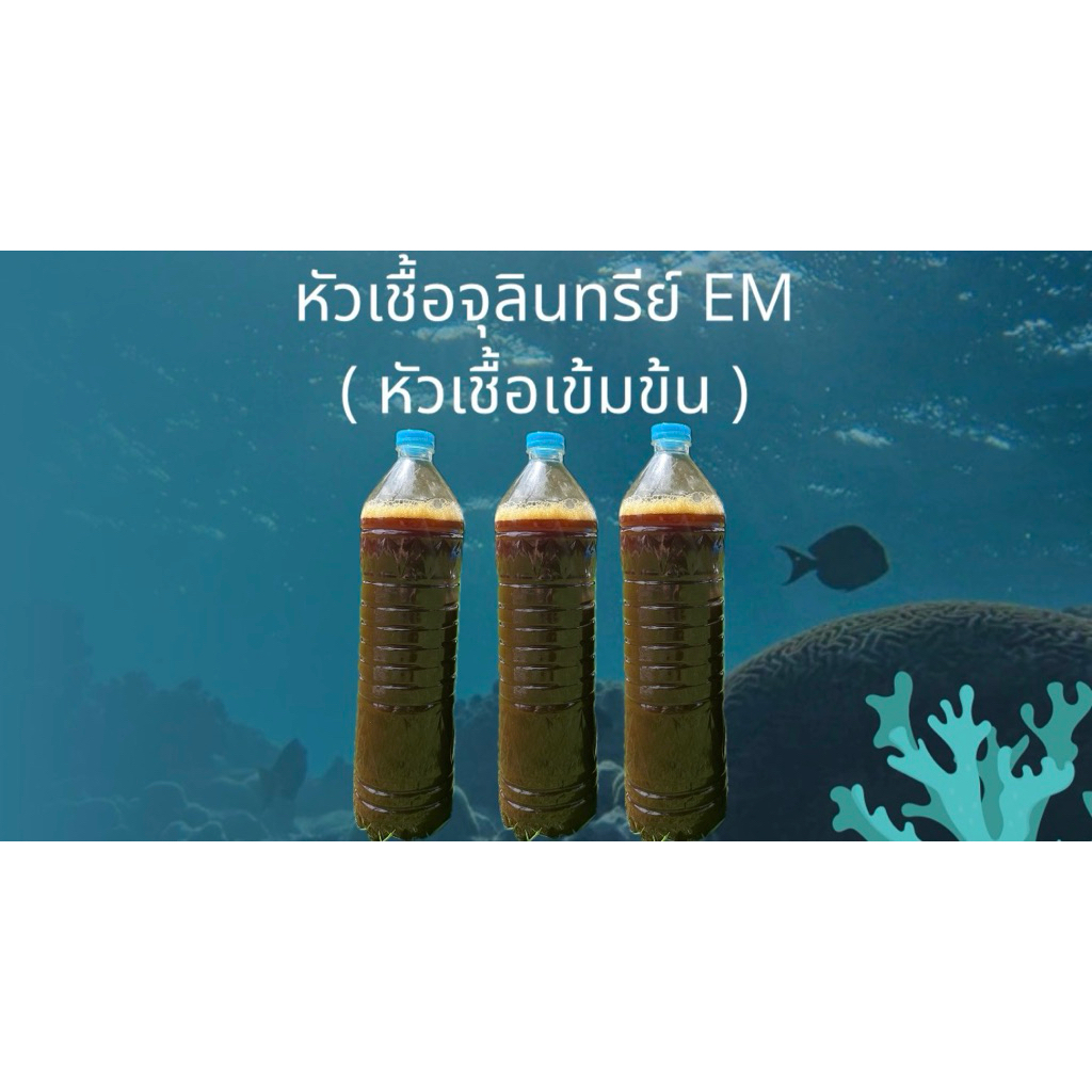 หัวเชื้อจุลินทรีย์ EM เข้มข้น ปรับสภาพดิน จุลินทรีย์สังเคราะห์แสง เกษตร สวน บำบัดน้ำ บำบัดกลิ่นท่อ ต้นไม้ อามิ