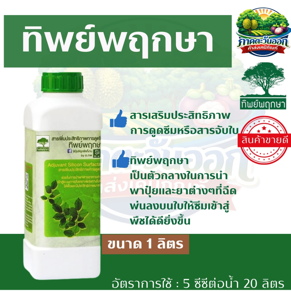 จับใบ ยาจับใบ หรือ สารเสริมประสิทธิภาพการดูดซึมทิพย์พฤกษา ของแท้ 100%  **ขนาด 1 ลิตร