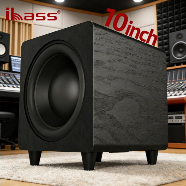 ซับวูฟเฟอร์แบบแอคทีฟ iBass ขนาด 10 นิ้ว กำลังขับ 300 วัตต์ พร้อมช่องต่อ RCA สำหรับอินพุต/เอาต์พุต