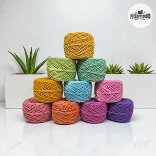 เชือกฟอกนิ่มโทนสีพาสเทล สำหรับถักหมวก กระเป๋า 100g 👜👒