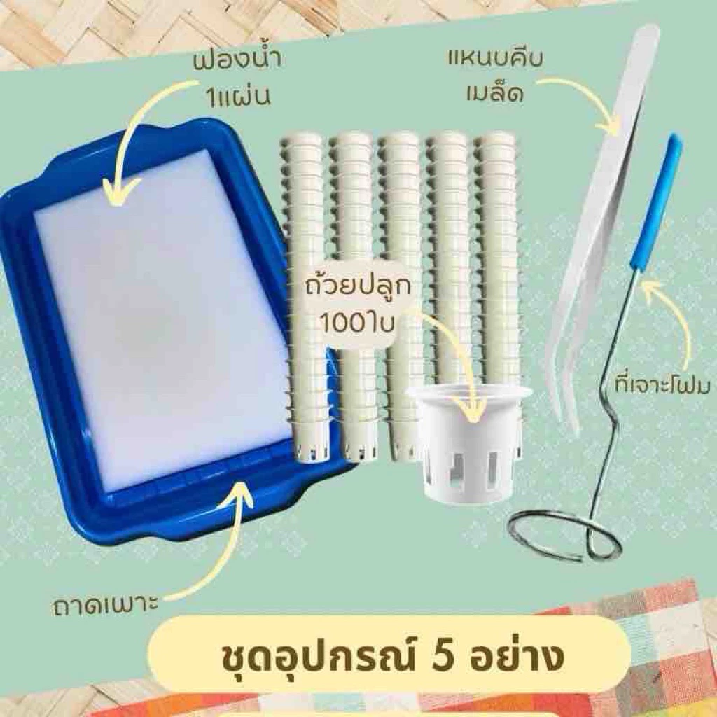 ชุดอุปกรณ์ปลูกผักไฮโดรโปนิกส์(5ชิ้น) 100ถ้วย ส่งไว ถาดเพาะเมล็ด ฟองน้ำ ที่คีบ และที่ เจาะรูถ้วยปลูก