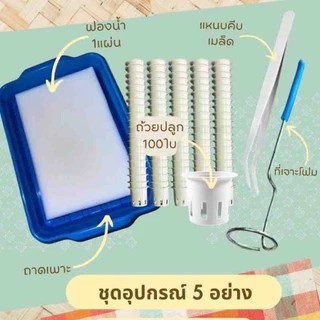 ชุดอุปกรณ์ปลูกผักไฮโดรโปนิกส์(5ชิ้น) 100ถ้วย ส่งไว ถาดเพาะเมล็ด ฟองน้ำ ที่คีบ และที่ เจาะรูถ้วยปลูก