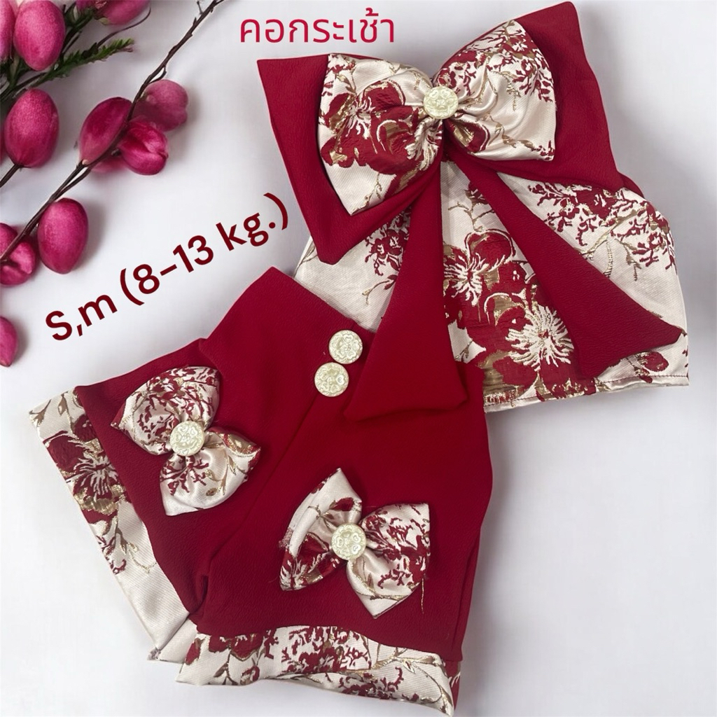 ชุดตรุษจีนเด็กผู้หญิง ไซต์s ชุดไทยสงกรานต์ ชุด Bangkok city ขาม้า