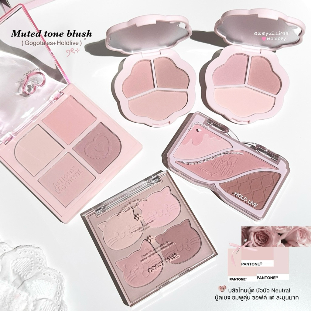 บลัชโทนนัว Muted tone blush ꪆৎ⊹ ( meilinda+Gogotales+Holdlive ) ˚｡