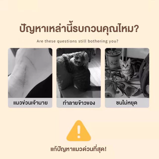 แผ่นลับเล็บแมว ป้องกันรอยขีดข่วน มีกาวในตัว สำหรับติดผนัง แผ่นแมวปีน พรมลับเล็บแมว สำหรับติดผนัง