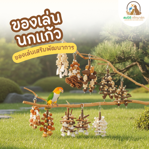 ของเล่นนกแก้ว ของเล่นเคี้ยว เสริมพัฒนาการ ค็อกคาเทล เลิฟเบิร์ด หงส์หยก