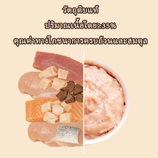 【แพ็ค 300 แท่ง】Plendy อาหารเปียกแมว 5 รสชาติ อาหารแมว ขนมเเมวเลีย ขนมแมว 15g