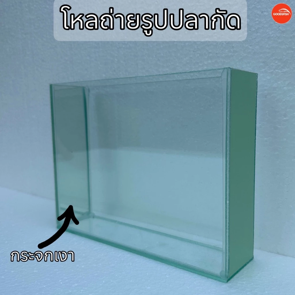 โหลถ่ายรูปปลากัด แถมฟรี!!อาหารปลากัด ขนาด2x8x6 กระจก3มิล สินค้ามีประกัน พร้อมส่ง!!