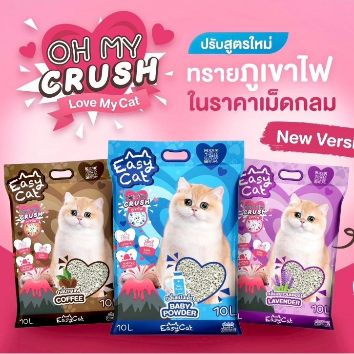 (🔥ส่งด่วน ค่าส่งถูก) ทรายแมว Easy Cat ขนาด 10L ทรายแมวเบนโทไนต์ ทรายแมวราคาถูก ไร้ฝุ่น จับตัวเป็นก้อนได้ดี 10L