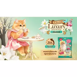 1 กระสอบ 3ถุง ทรายแมวเบนโทไนต์ Easy Cat ขนาด 10L อีซี่แคท ทรายแมวราคาถูก ไร้ฝุ่น จับตัวเป็นก้อนได้ดี