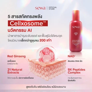 [น้ำตบโสม ลดริ้วรอย] Set Sewa Brightening - Ultimate Recovery Treatment Essence น้ำตบผิวกระจ่างใส