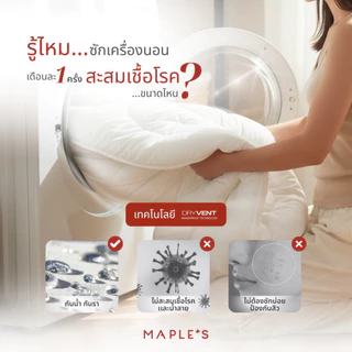 MAPLE'S ผ้านวม​ ปลอกนวมรุ่นกันน้ำ 550-770เส้น ลดสิว เอนก ผ้าห่ม Blanket waterproof comforter duvet