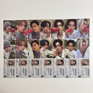 การ์ด ENHYPEN THE SIN : VANISH fugitive ver (พรีออเดอร์)