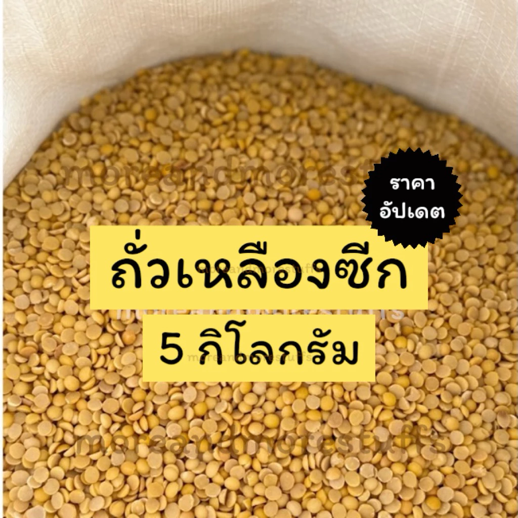 ถั่วเหลืองซีก (5 กิโลกรัม) ถั่วเหลืองทำน้ำเต้าหู้ ถั่วเหลือง