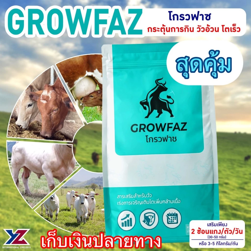 โกรวฟาซ พรีมิกซ์ (Growfaz premix) สารเสริมสำหรับวัว 1 ถุงบรรจุ 1 กิโลกรัม (ไร่วิทยา)