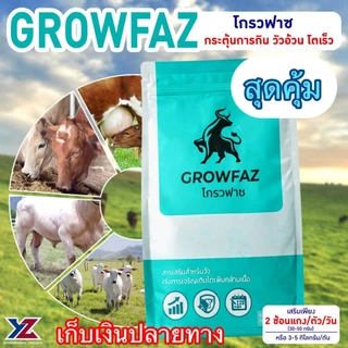โกรวฟาซ พรีมิกซ์ (Growfaz premix) สารเสริมสำหรับวัว 1 ถุงบรรจุ 1 กิโลกรัม (ไร่วิทยา)