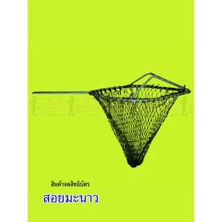 ตะกร้อสอยผลไม้ตราปลาทอง มะยงชิด มะปราง มะนาว(ขนาดเล็กถุงตาข่าย)