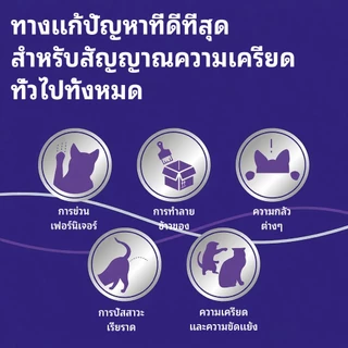Feliway (ชนิดปลั๊กเสียบ​) ฟีโรโมนสังเคราะห์​ ลดอารมณ์ก้าวร้าว 48ml​ ใช้ได้​ 30​ วัน