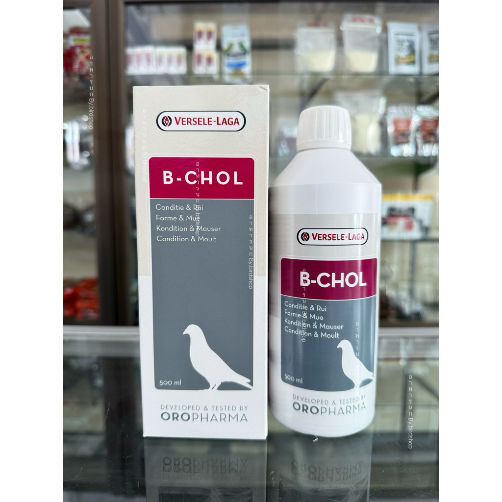บีโคล B-CHOL แพ็คเกจบริษัท (1ขวด 500ml)