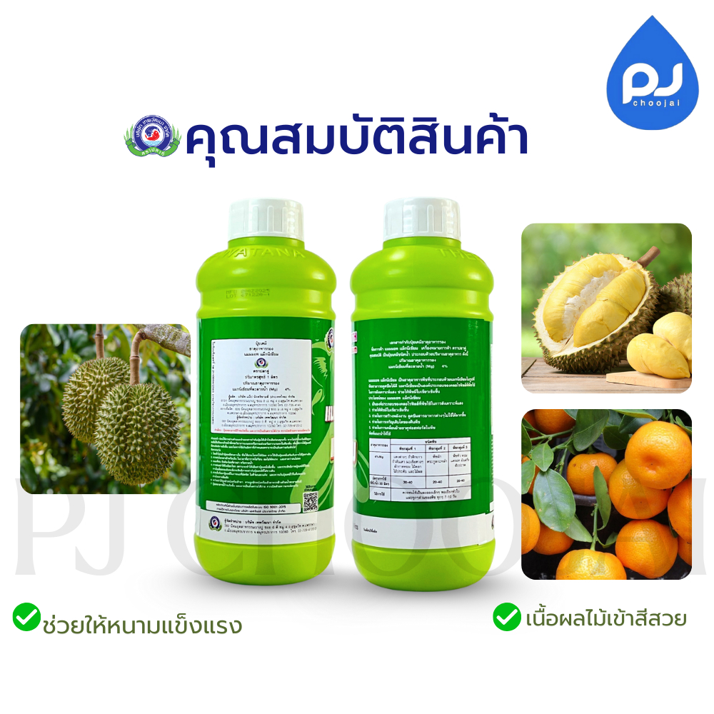 อาหารเสริมแมมมอท แม็กนีเซียม - รูปที่ 3