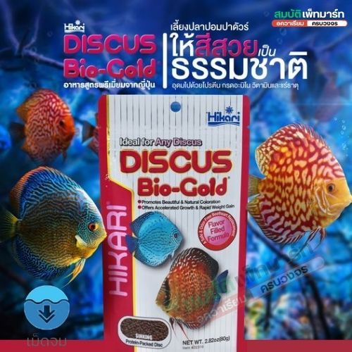 ้hikari Discus Bio-Gold อาหารปลาปอมปาดัวร์  สูตรเร่งสี,ให้เด่นชัด  โปรตีนสูง ย่อยง่าย 80g