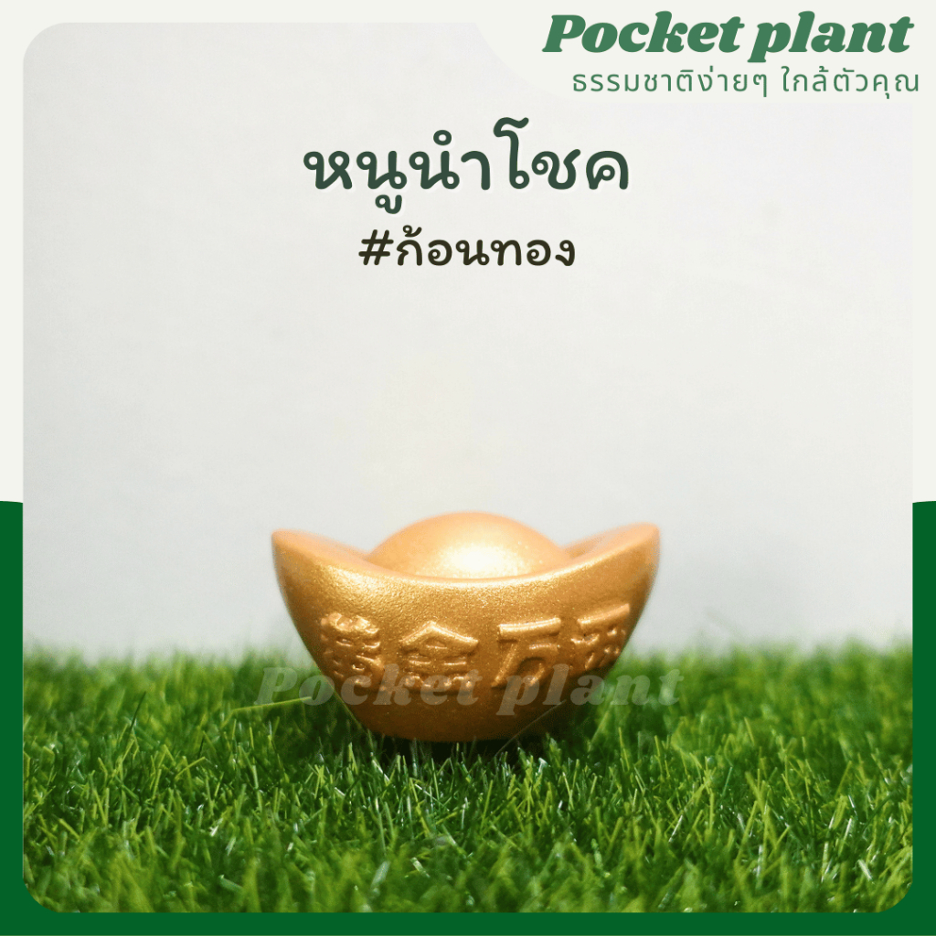 มุมมอง 6