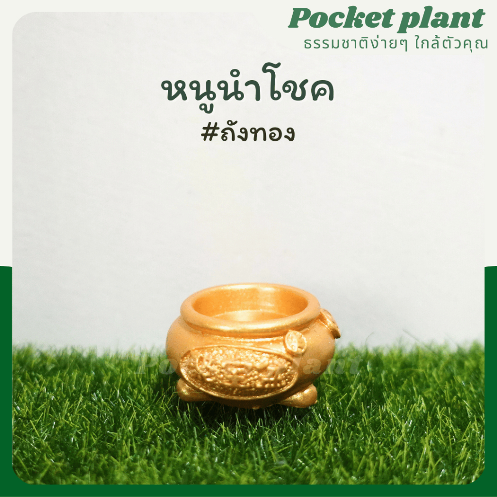 มุมมอง 5