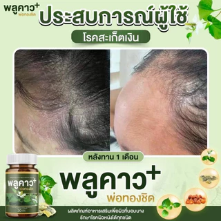 โปรดี!! 2.2 Plukaow Plus พลูคาว พลัส พ่อทองชิด ตัวดัง เซตเฮง คุ้มจริง ผลิตภัณฑ์เสริมอาหาร