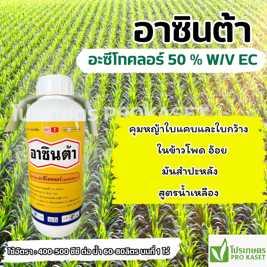 อาซินต้า 1 ลิตร (อะซีโทคลอร์) ตราหัววัว-คันไถ คุมวัชพืชใบก่อนงอก ในข้าวโพด อ้อย พริก หอม ผักกาด