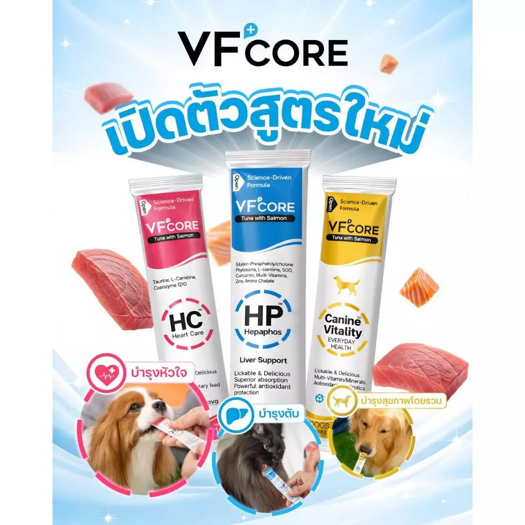 VFcore ขนมแมวเลียสูตรพิเศษ ไลซีน บำรุงเลือด บำรุงข้อต่อ วิตามินรวม thumbnail 4