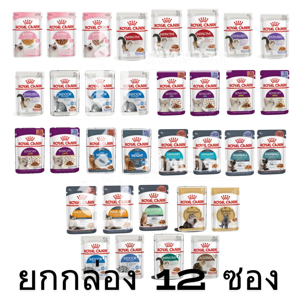[ยกกล่อง 12 ซอง] Royal Canin Pouch อาหารเปียกแมว แมวเด็ก แมวโต ทุกสายพันธุ์ ขนาด 85 กรัมต่อซอง