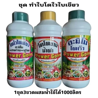 ชุดทำใบเขียวใหญ่ใบดกดำฮอร์โมนพืช ( ขนาด1ลิตร3ขวด) 1ชุดผสมน้ำใช้ได้1000ลิตรใช้ได้กับพืชทุกชนิด