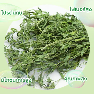 PETLUSCI หญ้ากระต่าย หญ้าอัลฟาฟ่า 1KG พรีเมี่ยม ใบล้วน อบลมร้อน ไม่สับ ไร้ฝุ่น กระรอก สำหรับ กระต่าย