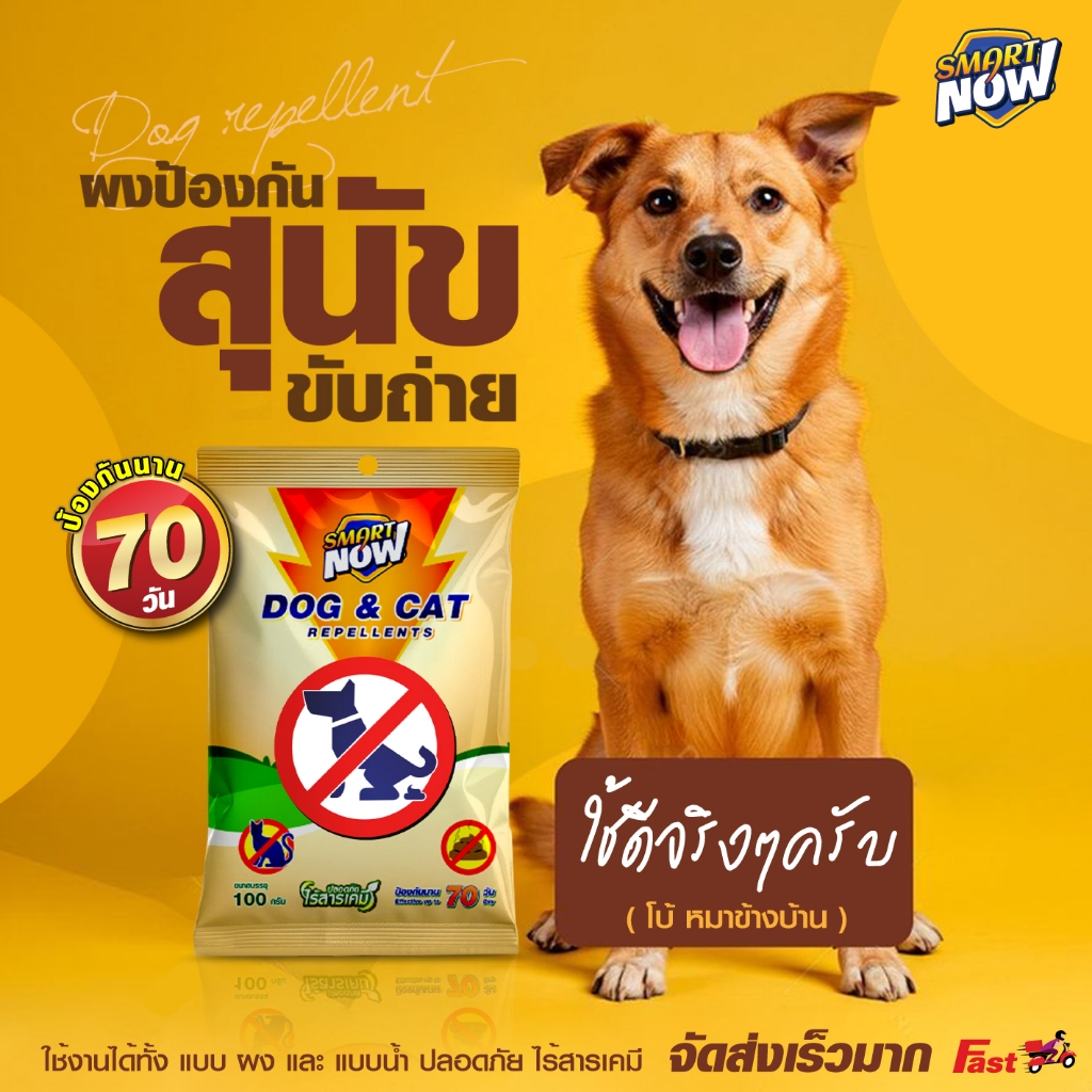 ป้องกันสุนัขและแมวขับถ่าย ไล่หมา ไล่แมว
