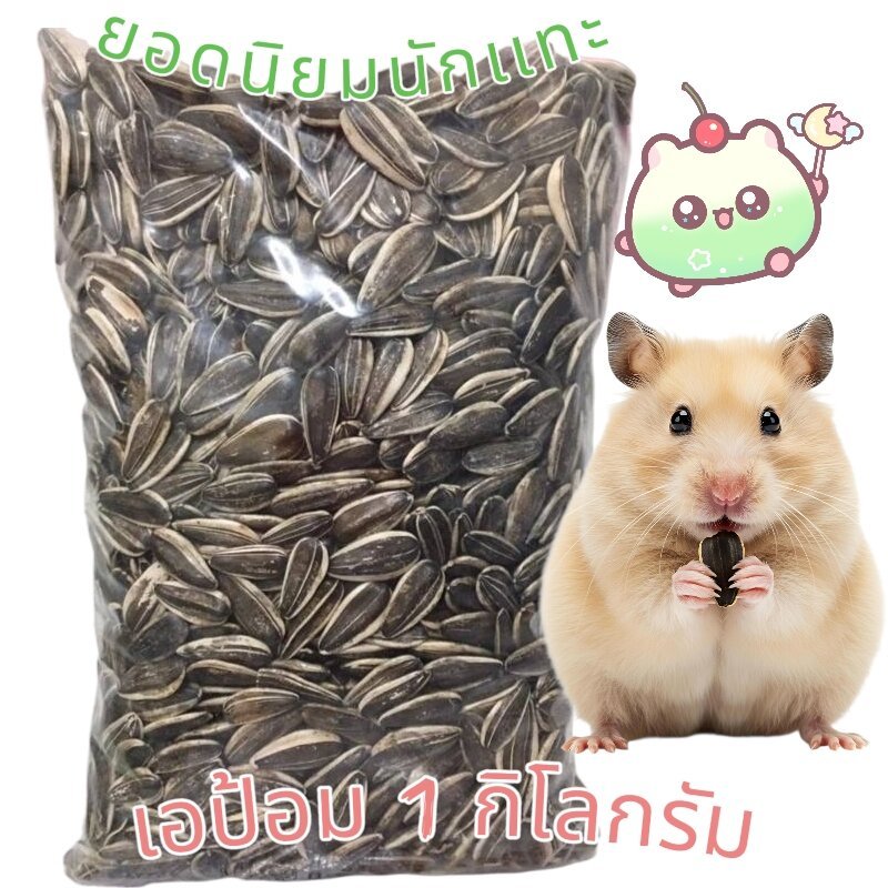 เมล็ดทานตะวัน เม็ดใหญ่ เอป้อม อาหารนก หนูแฮมเตอร์ ขนาด 1 kg.