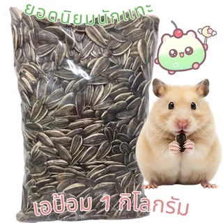 เมล็ดทานตะวัน เม็ดใหญ่ เอป้อม อาหารนก หนูแฮมเตอร์ ขนาด 1 kg.