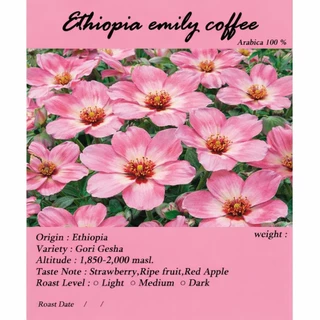 Ethiopia emily coffee เมล็ดกาแฟคั่ว กลิ่นที่โดดเด่นเป็นเอกลักษณ์ หอมฟุ้ง กลิ่นดอกไม้