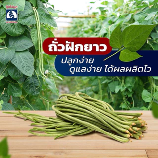 ปุ๋ย 46-0-0 [แบ่งขาย]ส่งไว + พร้อมส่ง🍃ปุ๋ยไข่มุข เร่งต้น เร่งยอด ใบเขียวเข้ม