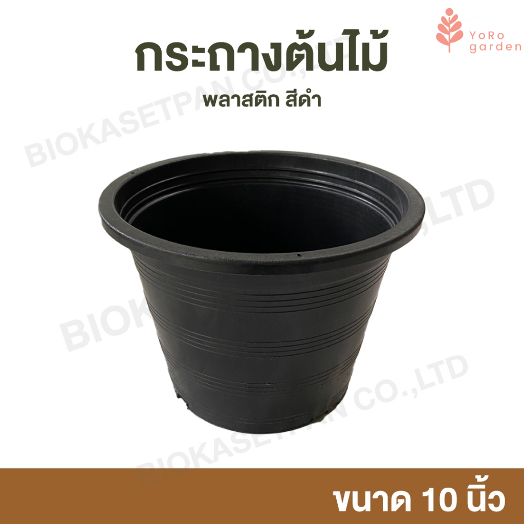 [ขายส่ง] กระถางต้นไม้ กระถางดอกไม้ พลาสติกสีดำ กระถางดำ 10 นิ้ว 10, 30, 50 ใบ Plastic plant pots