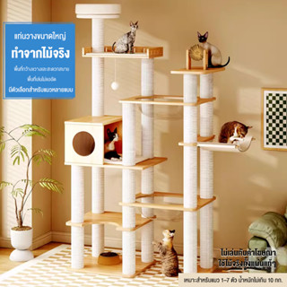 คอนโดแมวราคาถูก แข็งแรงและมั่นคงโดยไม่สั่นไหว ขายเทคอนโดแมว …