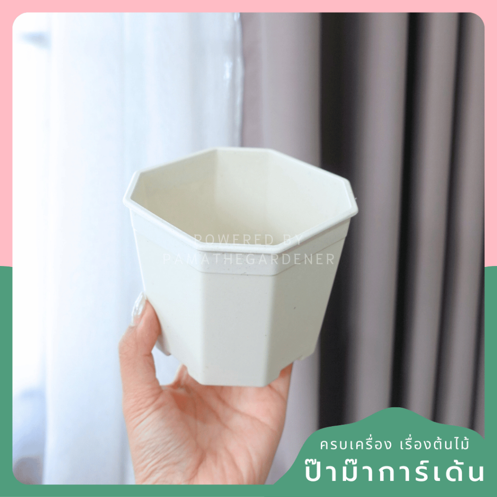 4-inch Octagonal Planter (In Stock) - View 4