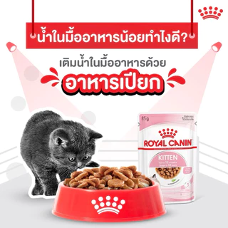 [ลดแล้ว][1โหล]Royal Canin Instinctive อาหารเปียก รอยัลคานิน เพาซ์ สำหรับแมวทั่วไป 85g*12ซอง
