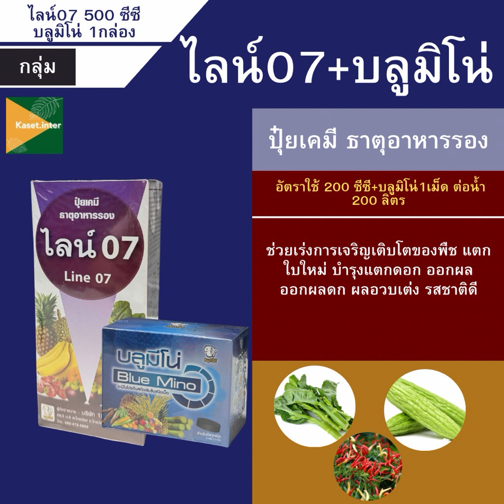 ไลน์07+บลูมีโน่ คู่หูฮอร์โมนสูตรแข้มข้นต้นแข็งใบเขียว ขึ้นนวลดี ยับยั้งการแผ่กระจายตัวของโรคไวรัสและแบคทีเรีย