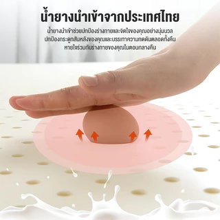 Goody ที่นอนน้ำยางธรรมชาติ ที่นอนหอพักขนาด 3/3.5/5/6ฟุต ที่นอนโฟมที่ยอดเยี่ยม Topper Mattress