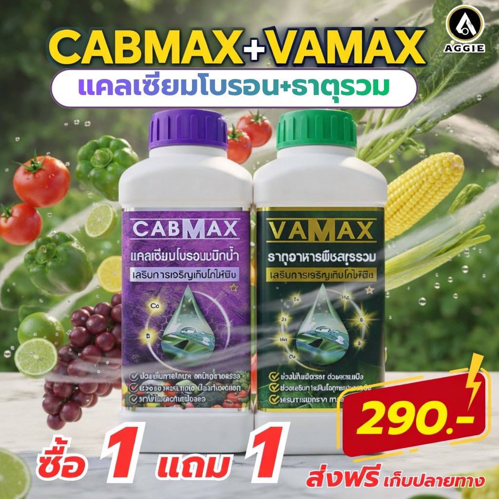 CABMAXแคลเซียมโบรอน 1 ลิตร แถม VAMAXธาตุอาหารรวม 1 ลิตร (C1+V1)